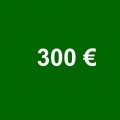 300,00 €