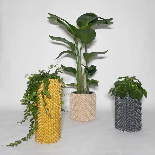 Handed By Spire Collection