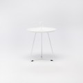 muted white 4308
