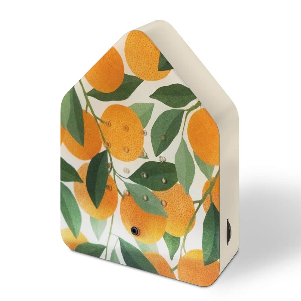 Zwitscherbox Orange, Katerina Kerouli Edition
